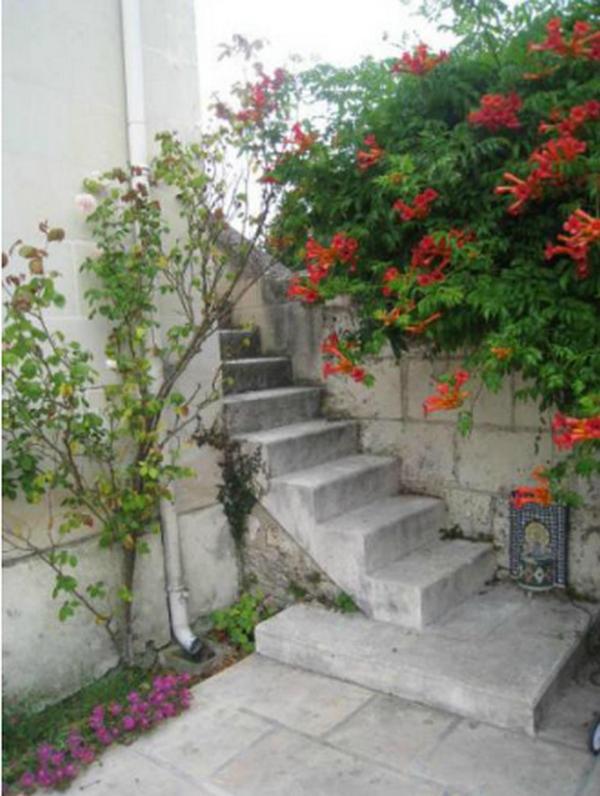 Le Clos De La Chapelle - Gite Les Glycines Exterior photo