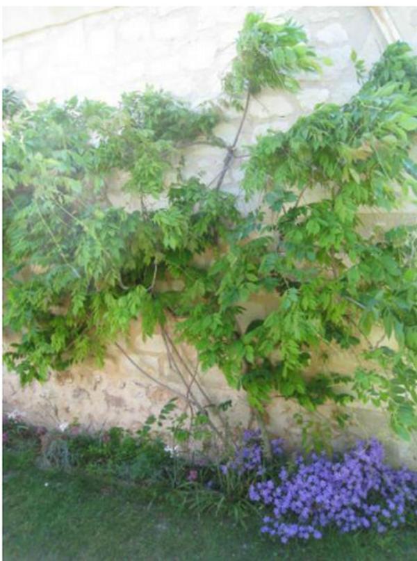 Le Clos De La Chapelle - Gite Les Glycines Exterior photo